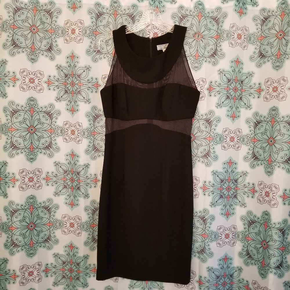 Andrea Polizzi for Rex Lester Black Sheer Cutout Bodycon dress (size 6)